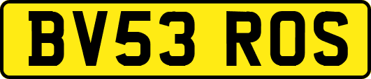 BV53ROS