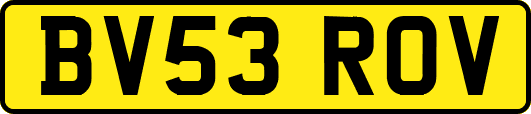 BV53ROV
