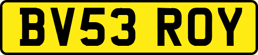 BV53ROY
