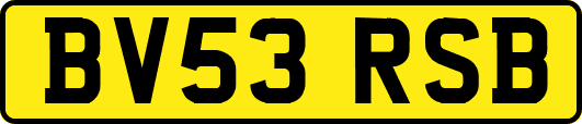 BV53RSB