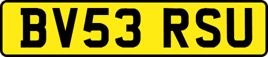 BV53RSU