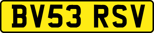 BV53RSV