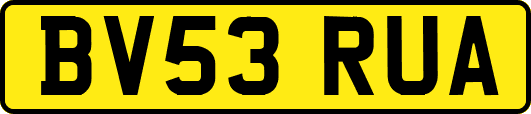 BV53RUA