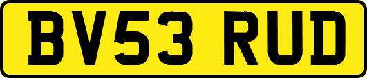 BV53RUD