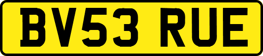 BV53RUE