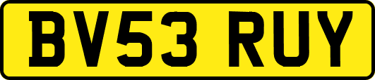 BV53RUY