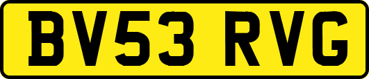 BV53RVG
