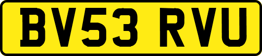 BV53RVU