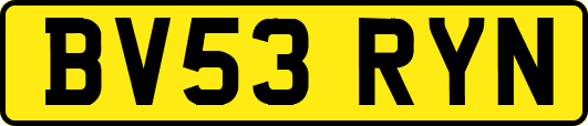 BV53RYN