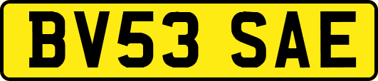 BV53SAE