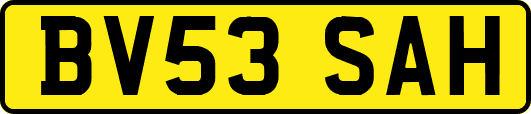 BV53SAH