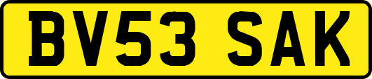BV53SAK