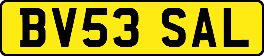 BV53SAL