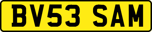 BV53SAM