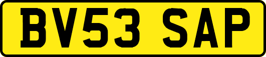 BV53SAP