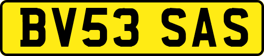 BV53SAS
