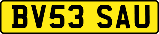 BV53SAU