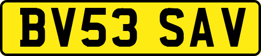 BV53SAV