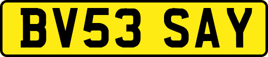 BV53SAY