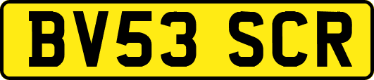 BV53SCR