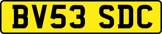 BV53SDC
