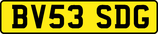 BV53SDG