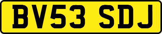 BV53SDJ