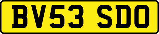 BV53SDO