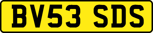 BV53SDS