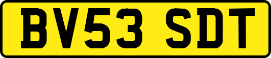 BV53SDT