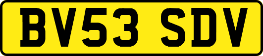 BV53SDV