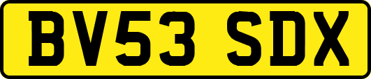 BV53SDX
