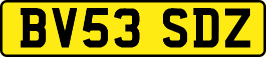 BV53SDZ