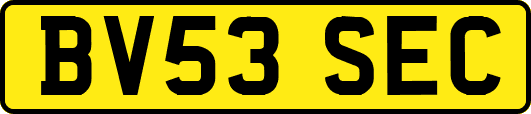 BV53SEC