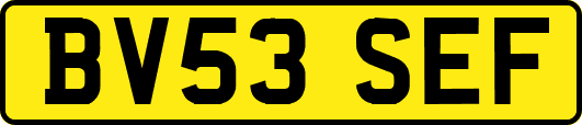 BV53SEF