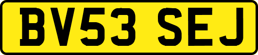 BV53SEJ
