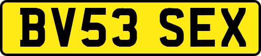 BV53SEX