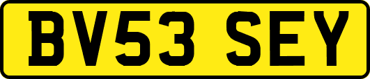 BV53SEY