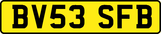BV53SFB