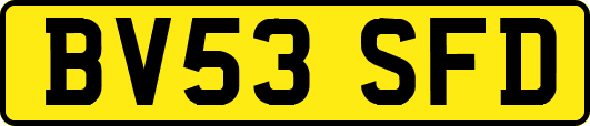 BV53SFD