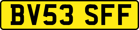 BV53SFF