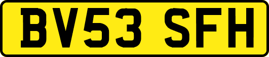 BV53SFH