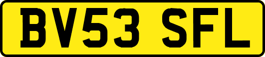 BV53SFL
