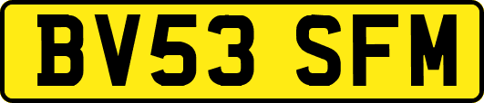 BV53SFM
