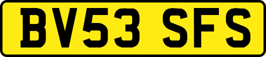 BV53SFS