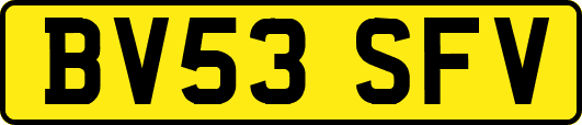 BV53SFV