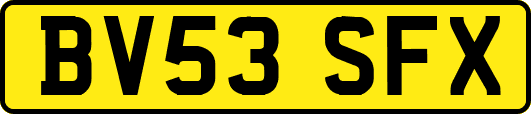 BV53SFX