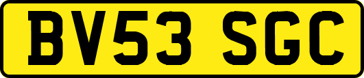 BV53SGC