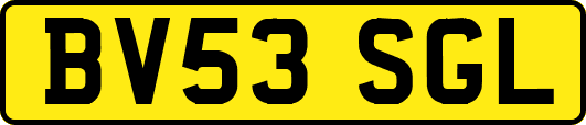 BV53SGL