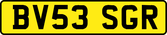 BV53SGR